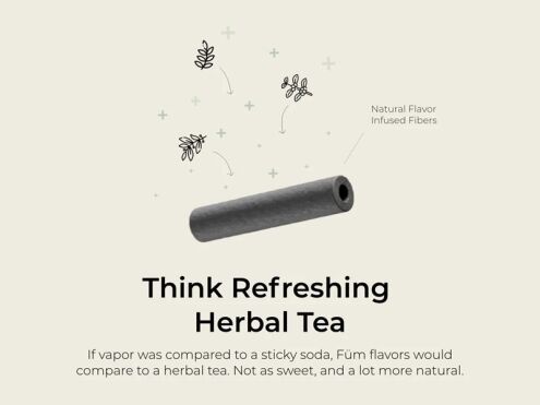 FUM Prominent Flavored Air Device - Image 4