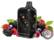 Lost Vape Orion Bar Disposable _ 50K Puffs Berry Sunshine