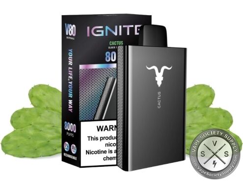 IGNITE V80 Disposable 8000 Puffs Cactus