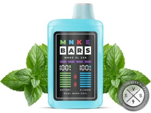 MNKE Bars XL 25K Fresh Mint disposable vape with mint leaves