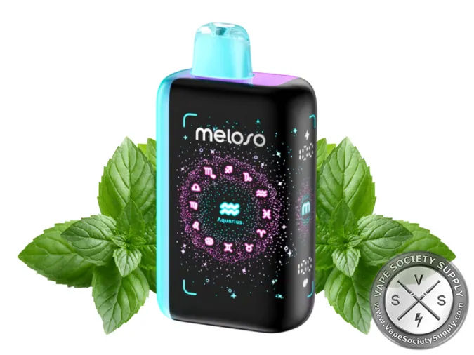 Geek Bar Meloso Bar 30K Magic Mint disposable vape with a blue top, next to mint leaves