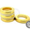 Limitless Gold Plated Magnets (Set of 2)