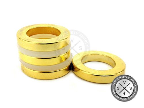 Limitless Gold Plated Magnets (Set of 2)