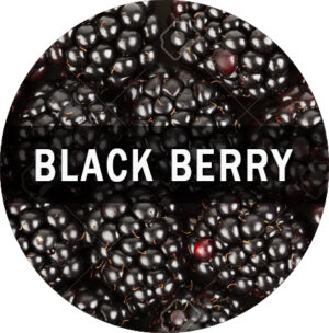 Blackberry Flavor E-Juice