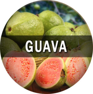Guava Flavor E-Juice