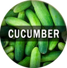 Cucumber Flavor E-Juice