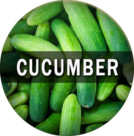 Cucumber Flavor E-Juice  Vape Society Supply