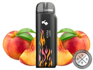 North HandShake 15000 Disposable Vape Juicy Peach