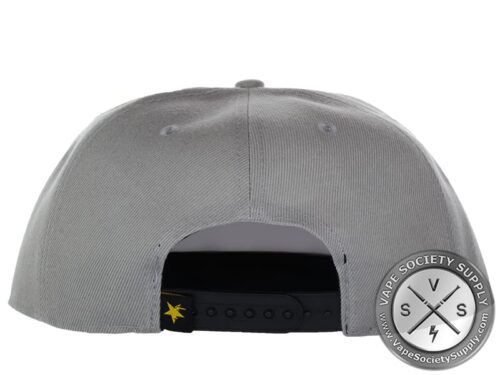 Vapetasia Snapback Cap -White Logo