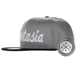 Vapetasia Snapback Cap -White Logo