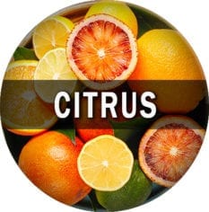 Citrus Flavor E-Juice