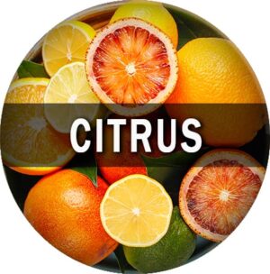 Citrus Flavor E-Juice
