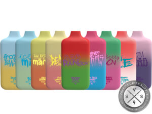 BAD DRIP DISPOSABLE 6000 PUFF