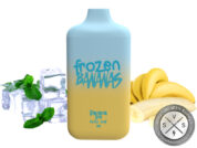 BAD DRIP DISPOSABLE 6k PUFF Frozen Banana