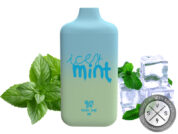 BAD DRIP DISPOSABLE 6k PUFF Icey Mint