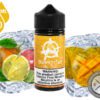 Orange on ICE ANARCHIST