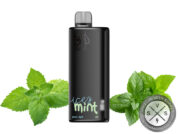 BAD DRIP DISPOSABLE 8k PUFF Icy Mint