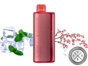 FUNKY REPUBLIC TI7000 DISPOSABLE 7000 PUFFS Blossom Mint