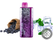 FUNKY REPUBLIC TI7000 DISPOSABLE 7000 PUFFS Blueberry Duo Ice