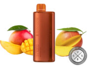 FUNKY REPUBLIC TI7000 DISPOSABLE 7000 PUFFS Mango Kiss