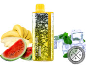 FUNKY REPUBLIC TI7000 DISPOSABLE 7000 PUFFS Watermelon Nana Ice