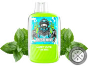 LOST VAPE OB 5500 DISPOSABLE 5500 PUFFS Fresh Mint
