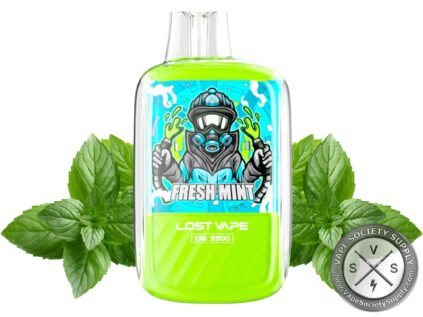 LOST VAPE OB 5500 DISPOSABLE 5500 PUFFS Fresh Mint
