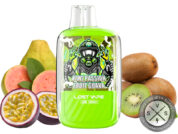 LOST VAPE OB 5500 DISPOSABLE 5500 PUFFS Kiwi Passionfruit Guava