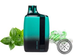 PILLOW TALK DISPOSABLE 8500 PUFFS Sweet Mint