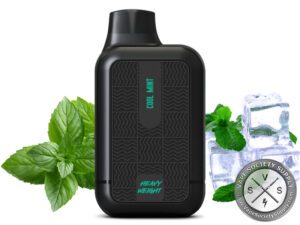 TYSON 2.0 HEAVYWEIGHT DISPOSABLE 7000 PUFFS Cool Mint