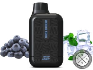 TYSON 2.0 HEAVYWEIGHT DISPOSABLE 7000 PUFFS Frozen Blueberry