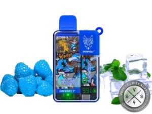 SNOWWOLF EASY SMART EA9000 DISPOSABLE 9000 PUFF Blue Razz ICe