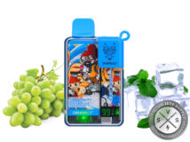 SNOWWOLF EASY SMART EA9000 DISPOSABLE 9000 PUFF Grape Ice