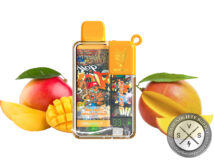 SNOWWOLF EASY SMART EA9000 DISPOSABLE 9000 PUFF Gummy Bear Miyazaki Mango