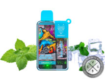 SNOWWOLF EASY SMART EA9000 DISPOSABLE 9000 PUFF Ice mint