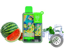 SNOWWOLF EASY SMART EA9000 DISPOSABLE 9000 PUFF Lush Ice