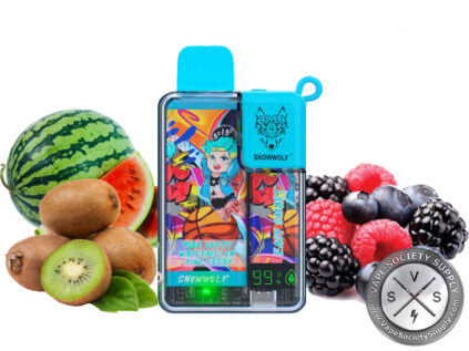 SNOWWOLF EASY SMART EA9000 DISPOSABLE 9000 PUFF Watermelon Kiwi Berry