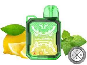 UWELL CALIBURN BAR B6000 DISPOSABLE 6000 PUFF Lemon Mint