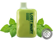 LOST MARY OS5000 DISPOSABLE 5000 PUFF Spearmint