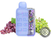 Lost Vape Orion Bar Disposable 10,000 Puff Grape Burst