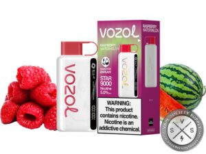 Vozol Star Disposable 9000 Puff Raspberry Watermelon