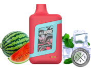 Novo Bar AL9000 Disposable 9000 Puff Watermelon Ice