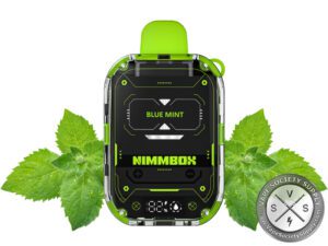 Vapengin Nimmbox 10000 Puffs Disposable Blue Mint