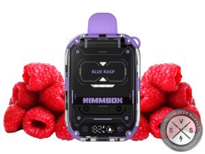 Vapengin Nimmbox 10000 Puffs Disposable Blue Rasp