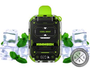 Vapengin Nimmbox 10000 Puffs Disposable Cool Mint