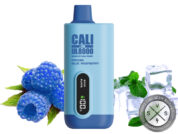 Cali UL8000 Disposable Frozen Blue Raspberry