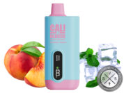 Cali UL8000 Disposable Frozen Peach