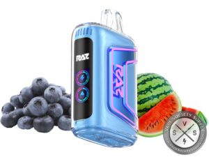 RAZ TN9000 Disposable Blueberry Watermelon