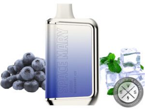 Space Mary SM8000 Disposable Blueberry Ice