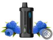 IRON MIKE Tyson 15K Puffs Disposable Blue Razz